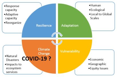 Resilience in the Age of COVID-19 – rbouvier consulting